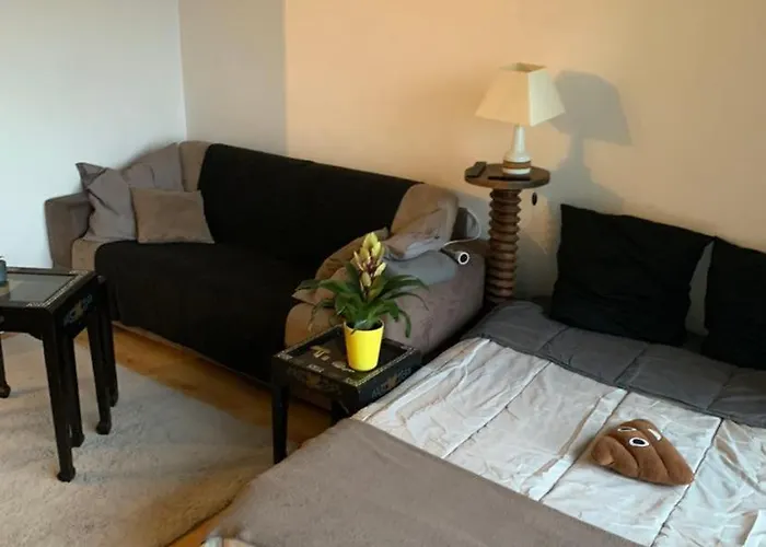 Appartement F1 Gare Saint Jean Bordeaux